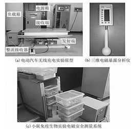 學術(shù)簡報 電動汽車無線充電環(huán)境的生物電磁安全評估與電磁環(huán)境測試